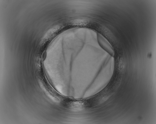 X0000116490692201001061141