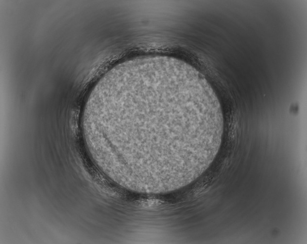 X0000116490695201001061141