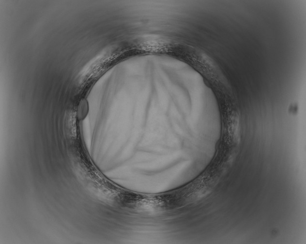 X0000116490696201001061141