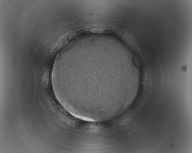 X0000116490697201001061141