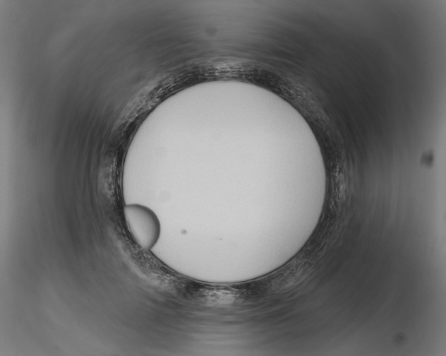 X0000116490698201001061141