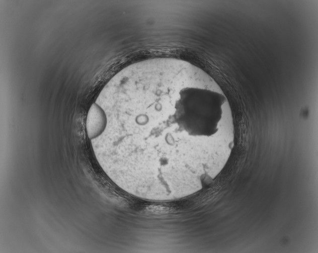 X0000116490699201001061141