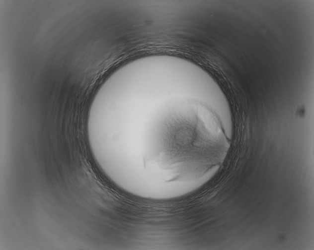 X0000116490700201001061141