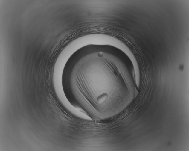 X0000116490701201001061141