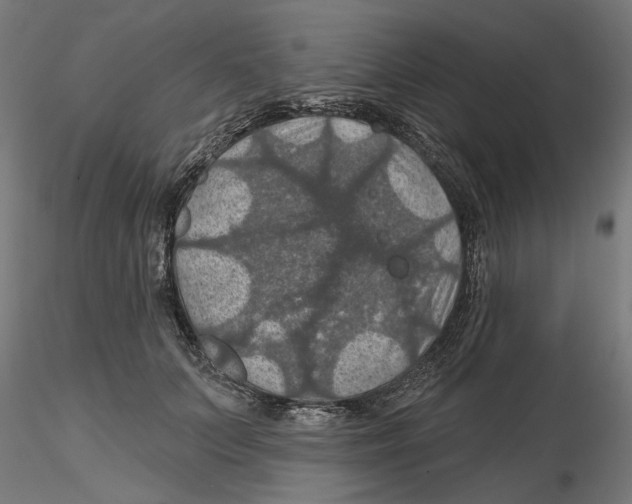 X0000116490703201001061141