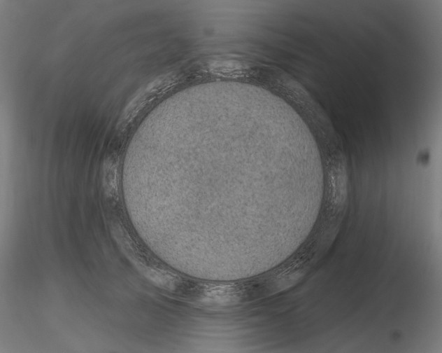 X0000116490705201001061141