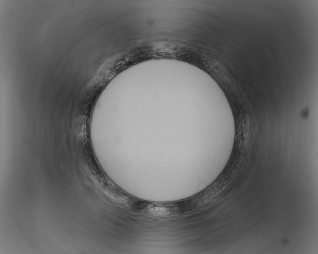 X0000116490706201001061141