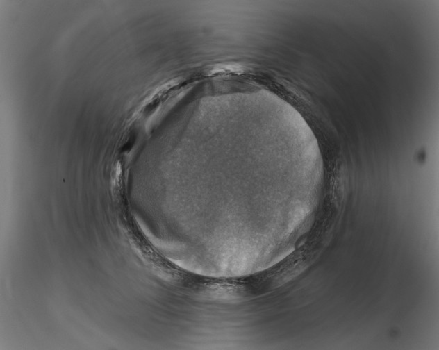 X0000116490708201001061141