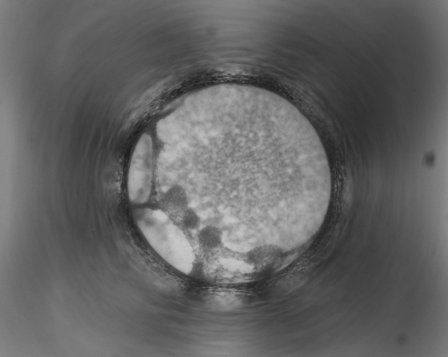 X0000116490710201001061141