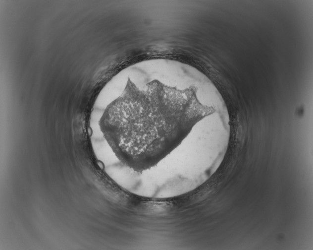 X0000116490711201001061141