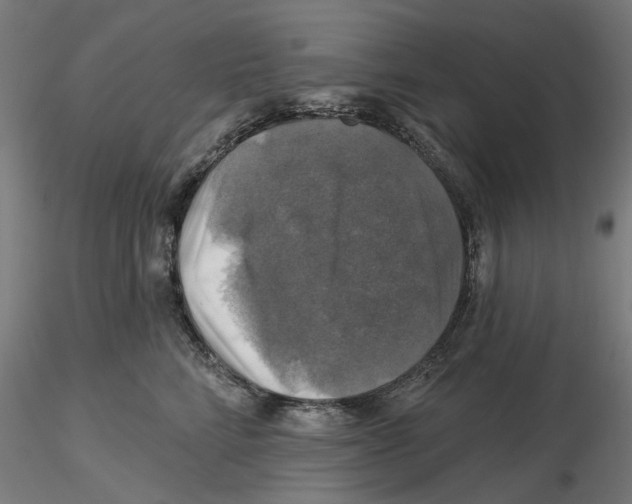 X0000116490712201001061141