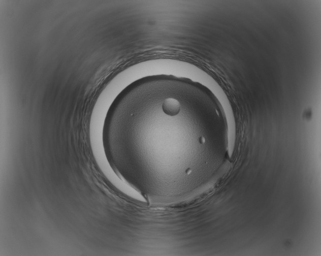 X0000116490713201001061141