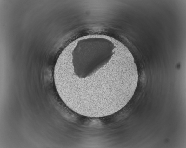 X0000116490715201001061141