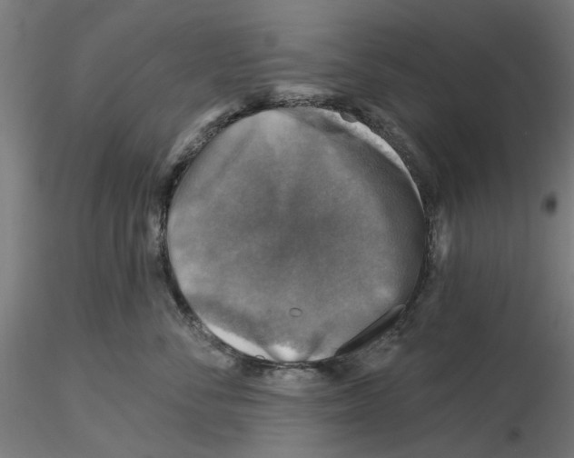 X0000116490716201001061141