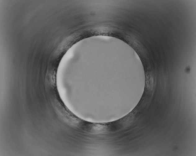 X0000116490718201001061141