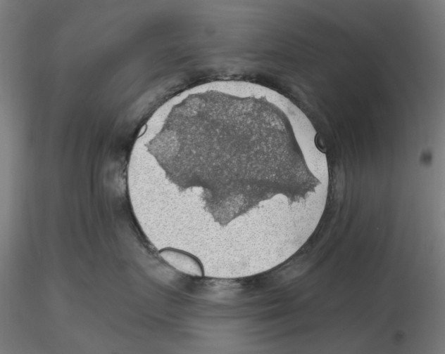 X0000116490719201001061141