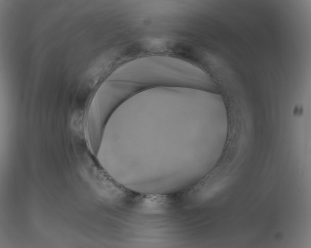 X0000116490720201001061141