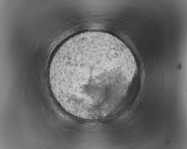 X0000116490721201001061140