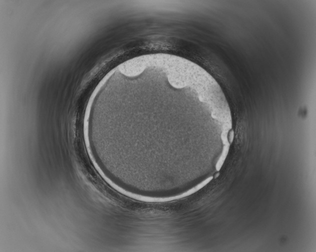 X0000116490722201001061140