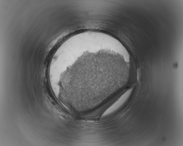 X0000116490723201001061140