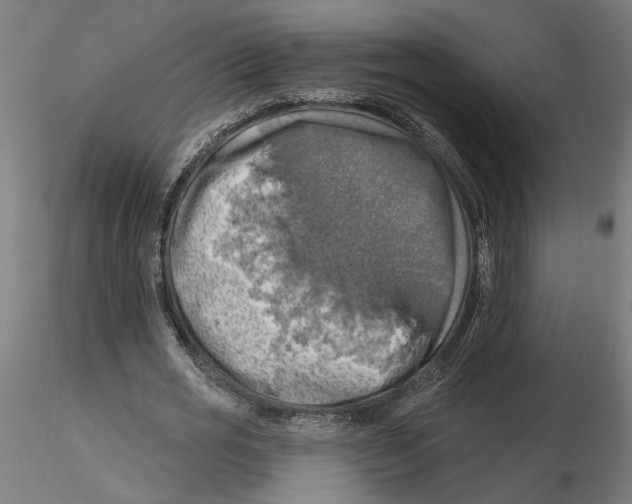 X0000116490725201001061140