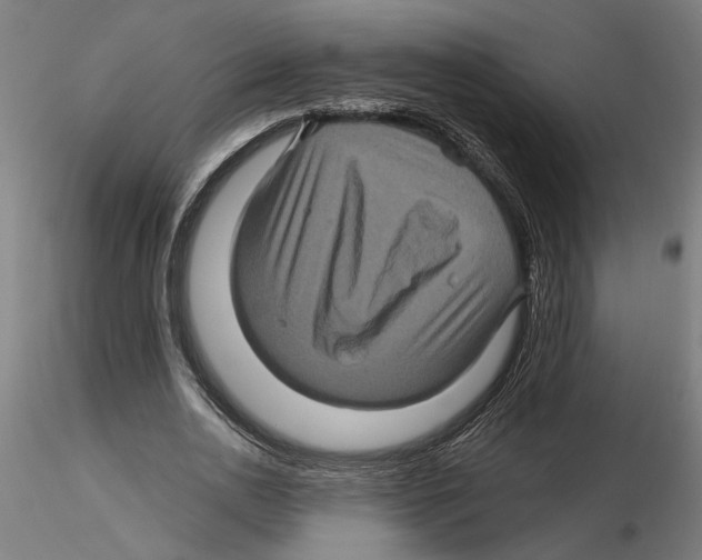 X0000116490726201001061140