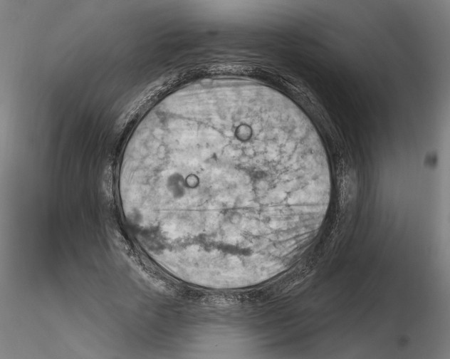 X0000116490729201001061140