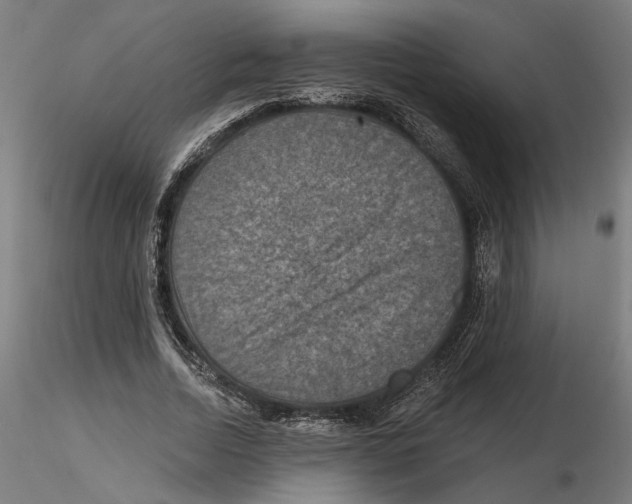 X0000116490730201001061140