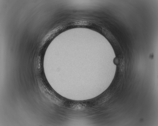 X0000116490731201001061140