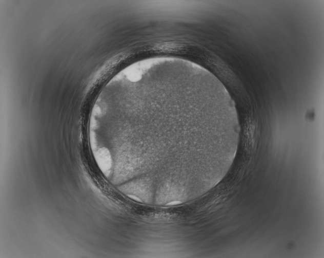 X0000116490734201001061141