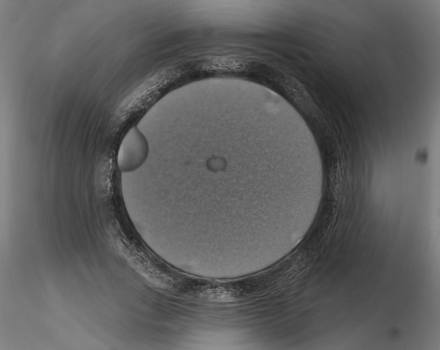 X0000116490735201001061141