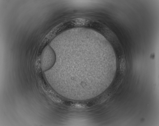 X0000116490737201001061141