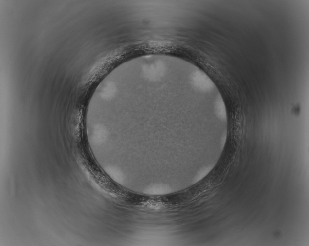 X0000116490742201001061141