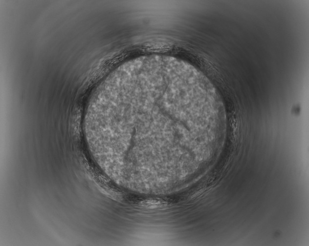 X0000116490745201001061141