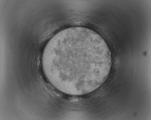 X0000116490746201001061141