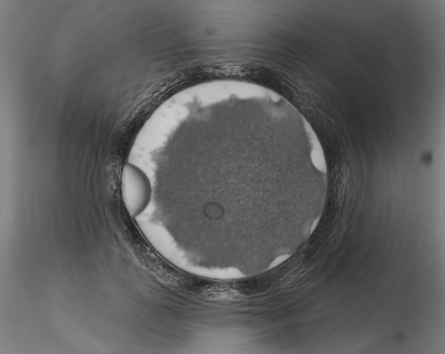 X0000116490747201001061141