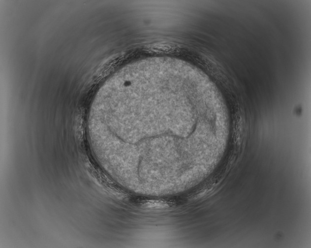 X0000116490749201001061141