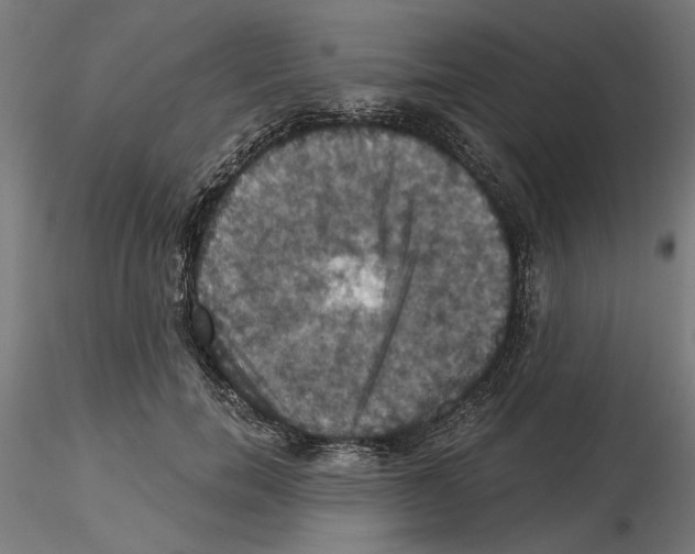 X0000116490750201001061141