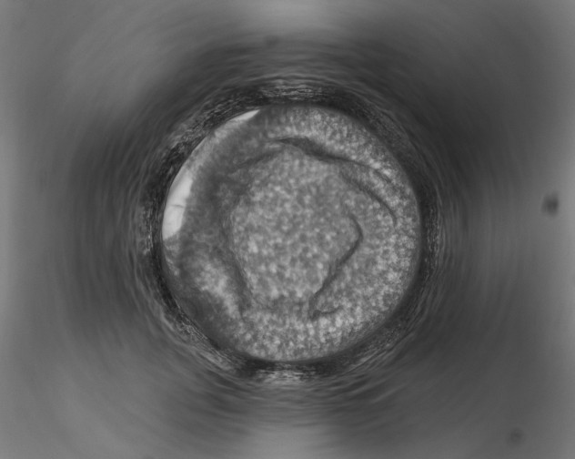 X0000116490751201001061141