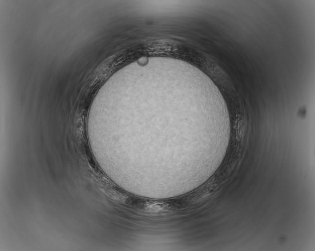 X0000116490753201001061141