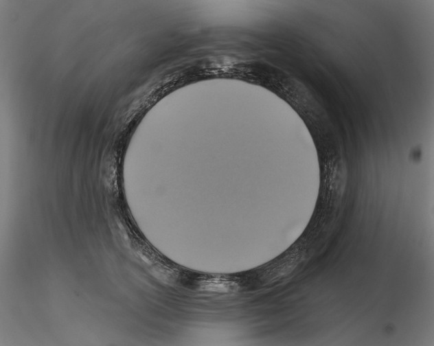 X0000116490754201001061141