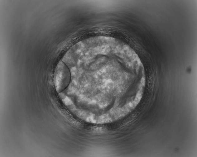 X0000116490755201001061141