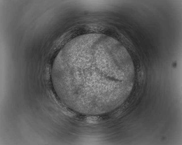 X0000116490757201001061141