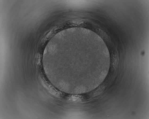 X0000116490758201001061141