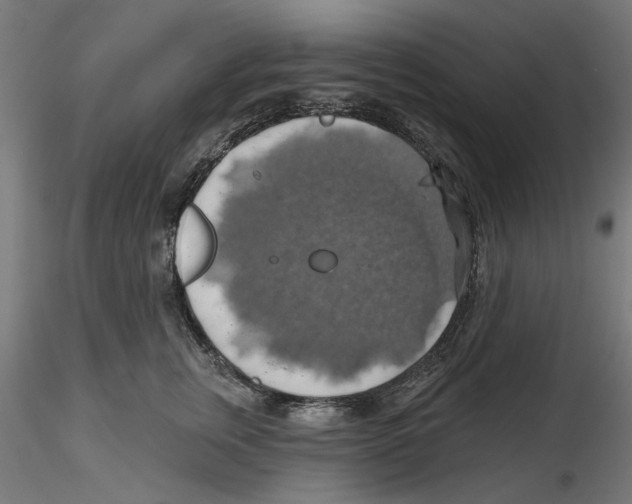 X0000116490759201001061141