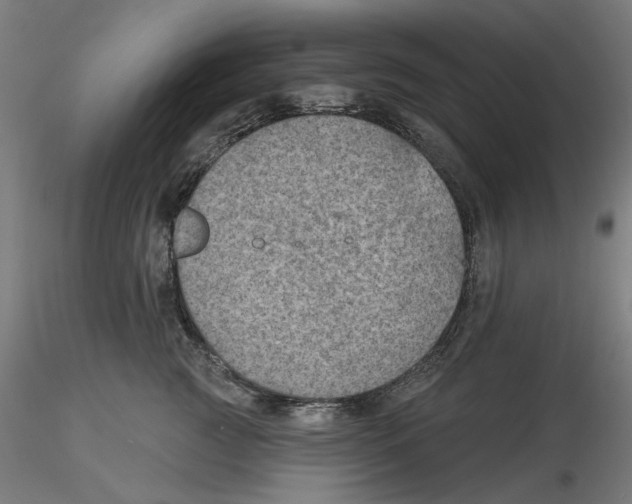 X0000116490761201001061141