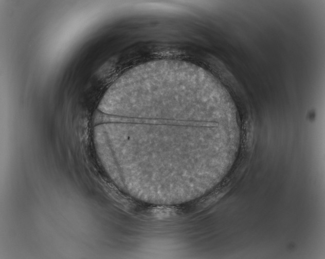 X0000116490762201001061141