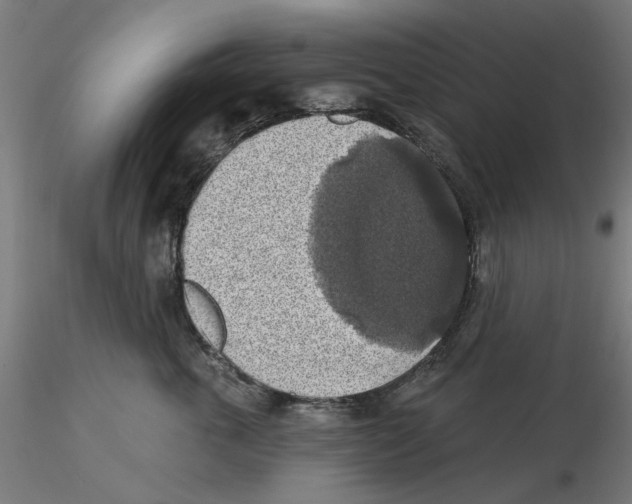 X0000116490763201001061141