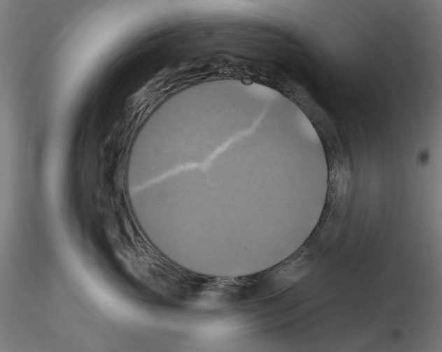 X0000116490765201001061141