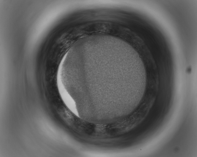 X0000116490766201001061141